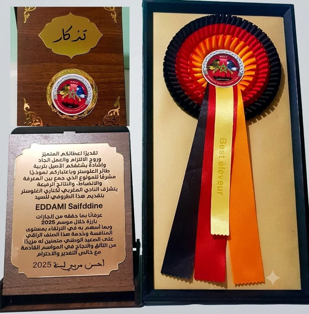 Prix Best éleveur 2025 remis à Eddami Saifddine