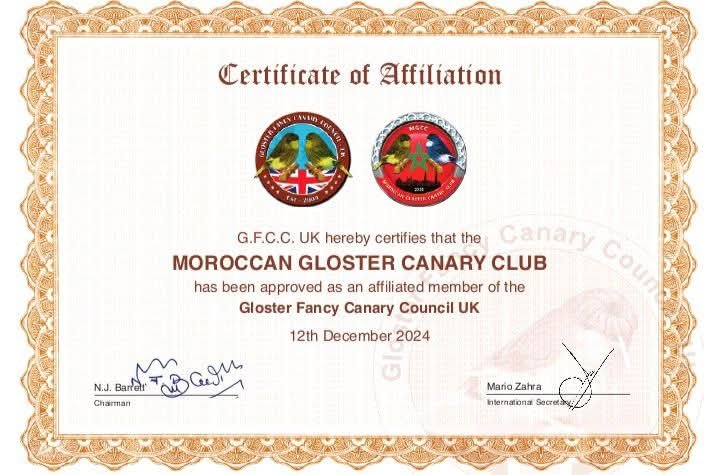 Certificat d'affiliation GFCC UK 2024