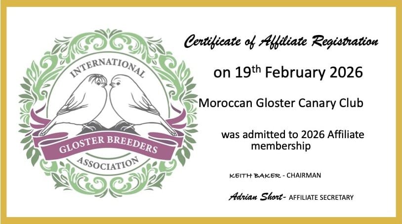 Certificat d'affiliation IGBA 2026