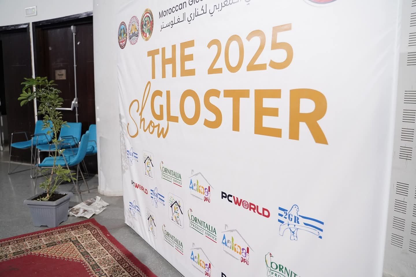 Gloster Cup 2025 Galerie 3