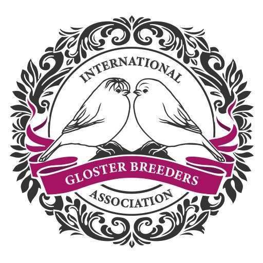 Logo IGBA