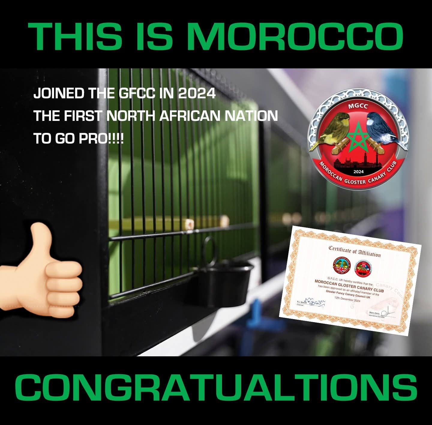 Maroc affilie au GFCC 2024