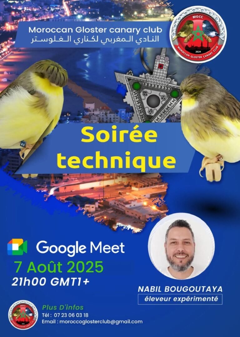 Soirée technique — 7 août 2025