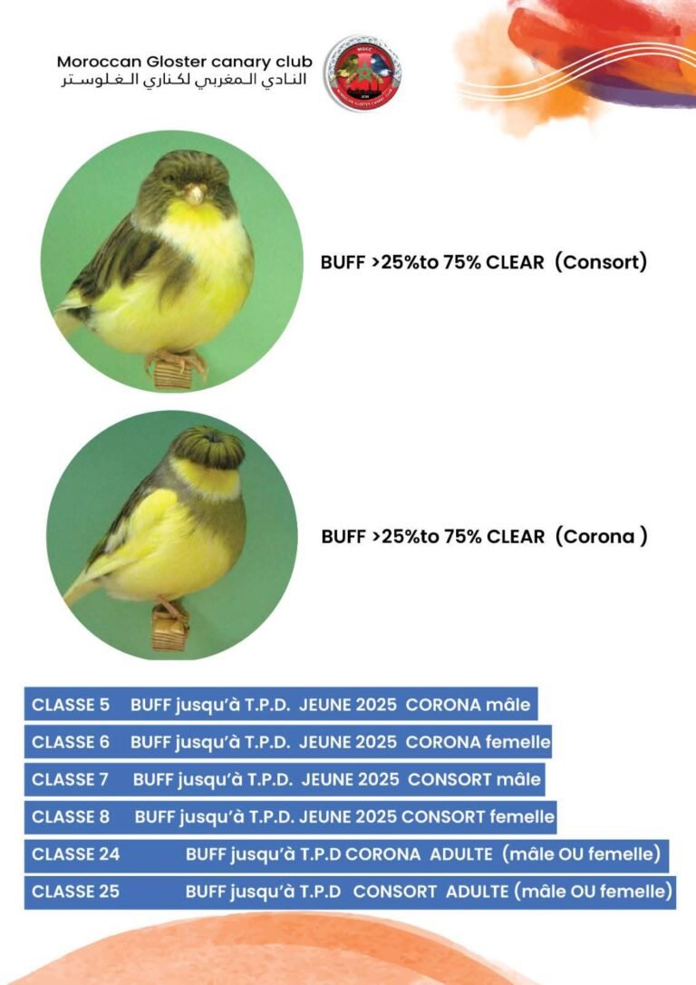 Variété Buff