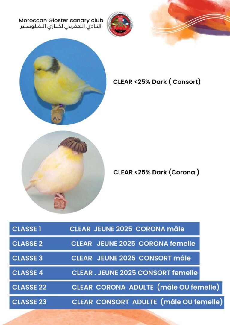Variété Clear